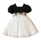 Floral Embroidered Party Dress