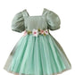 Floral Embroidered Party Dress