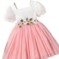 Floral Embroidered Party Dress