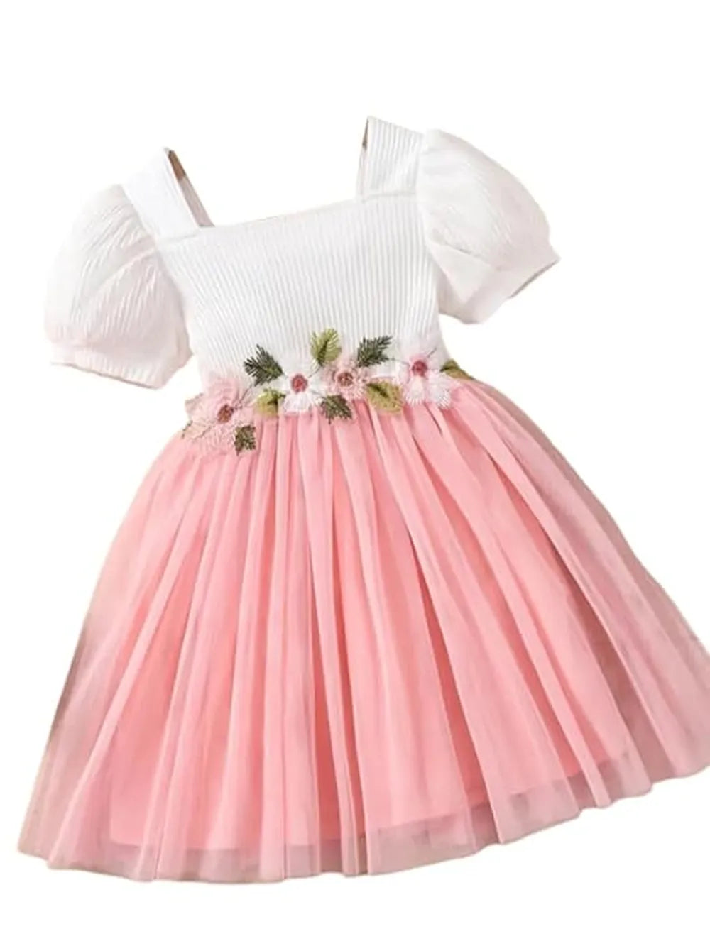 Floral Embroidered Party Dress