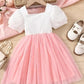 Floral Embroidered Party Dress