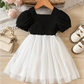 Floral Embroidered Party Dress