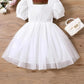 Floral Embroidered Party Dress