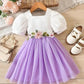 Floral Embroidered Party Dress