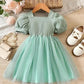 Floral Embroidered Party Dress