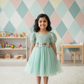 Floral Embroidered Party Dress